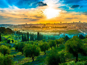 Масли́чная гора в Израиле Масли́чная гора в Израиле