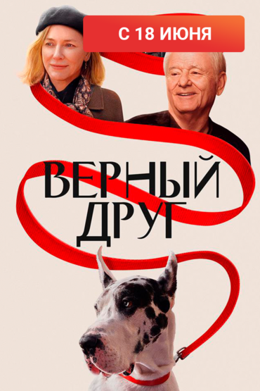 Верный друг