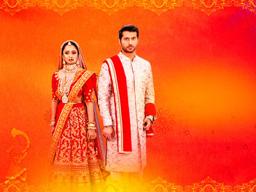 Спутник моей жизни Спутник моей жизни