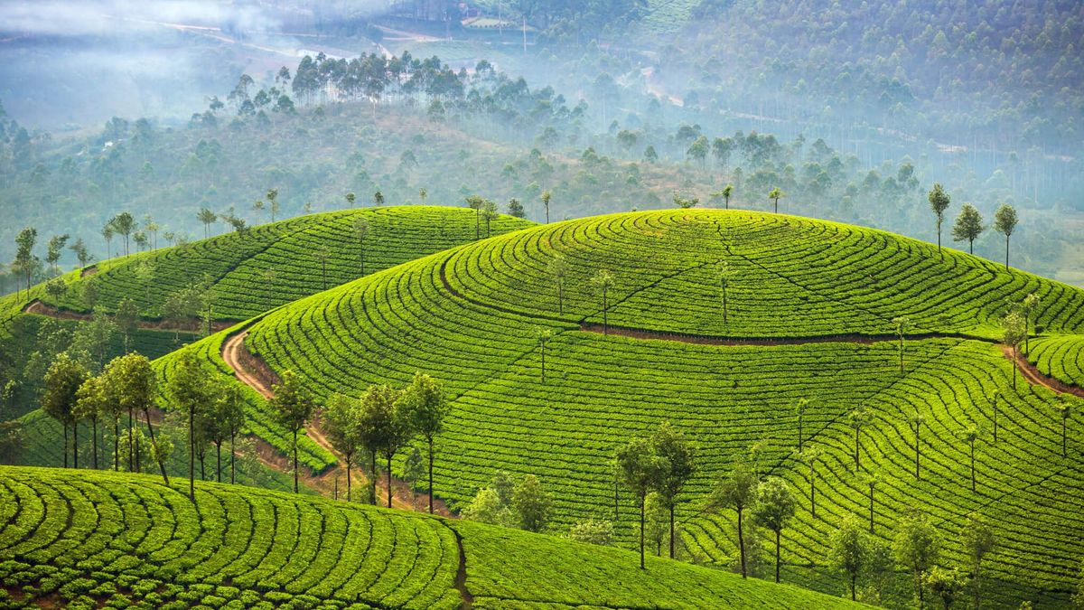 Путь человечества