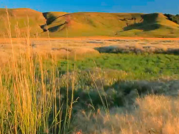 Урочище Алга Урочище Алга