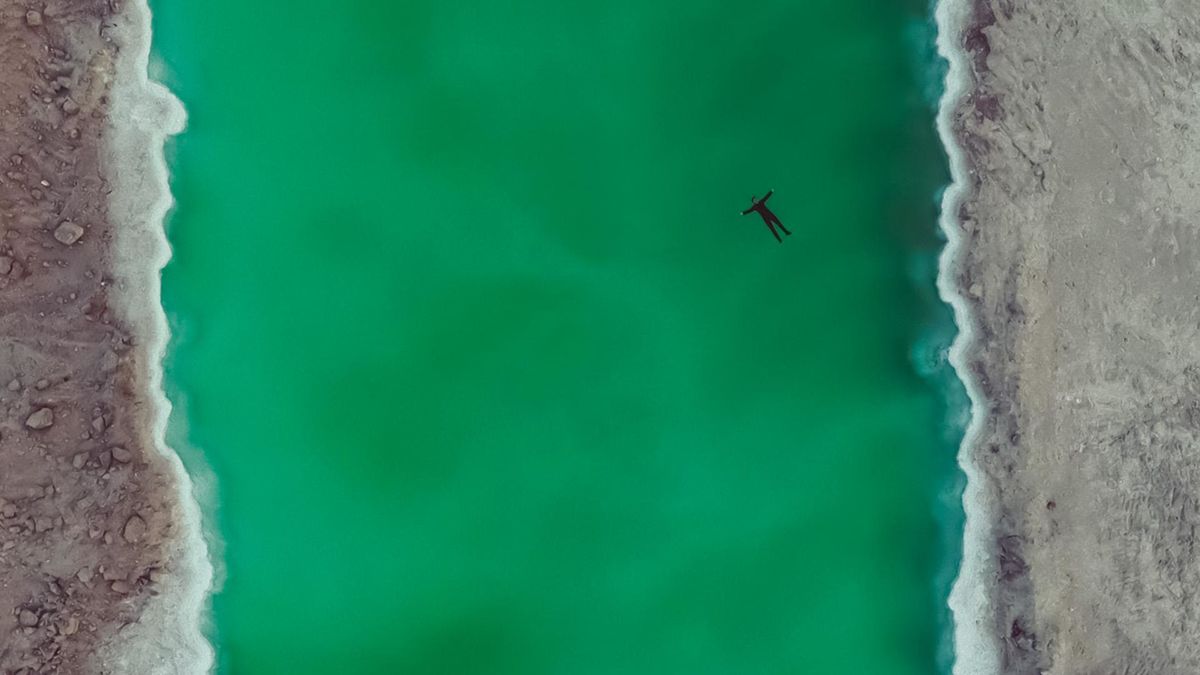 Дельфин - Крики