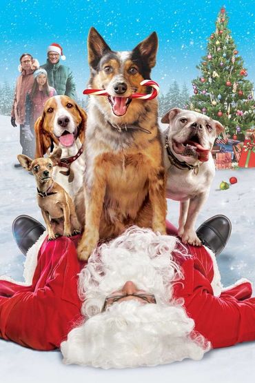 ОДНИ ДОМА ОДНИ ДОМА