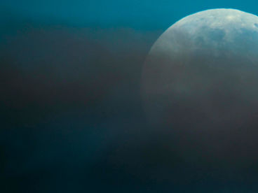 Образ жизни скотоводов в Новой Каледонии Образ жизни скотоводов в Новой Каледонии