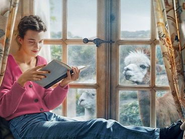 Джейн Остин испортила мне жизнь