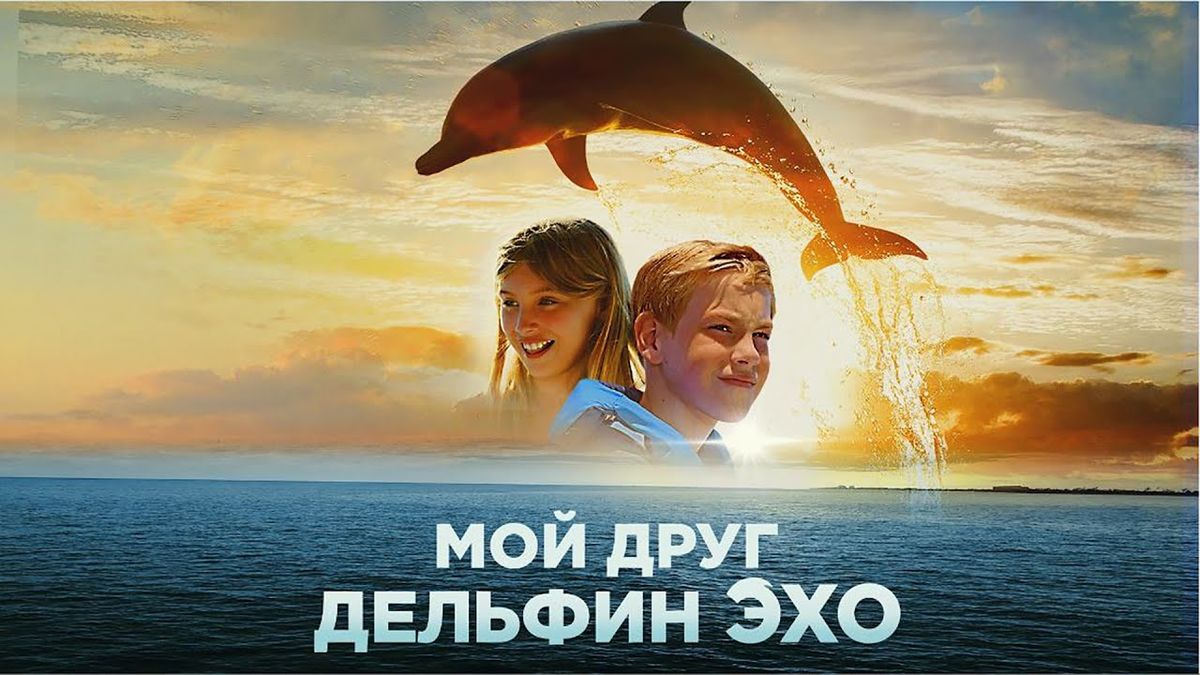 Дельфин по имени Эхо