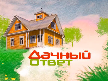 Дачный ответ Дачный ответ
