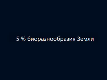 5 % биоразнообразия Земли 5 % биоразнообразия Земли