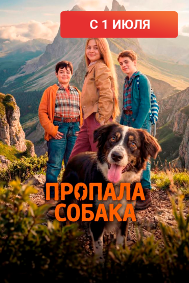 Пропала собака