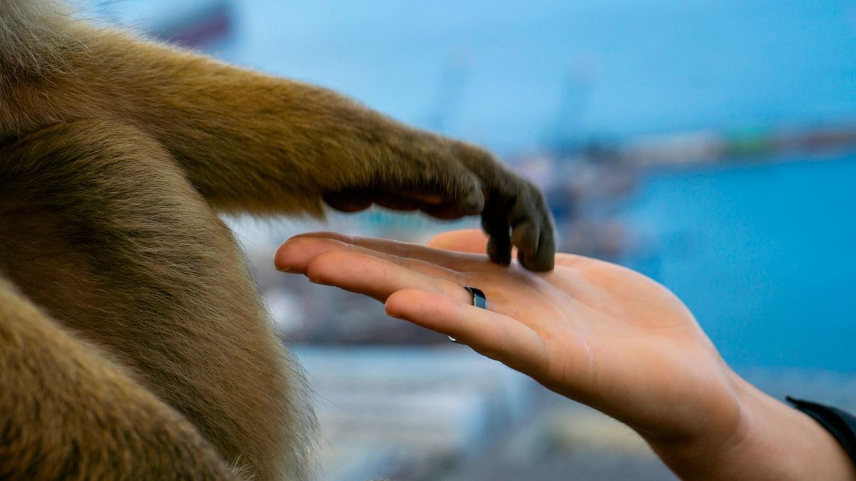 Сделать мир лучше