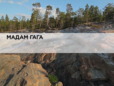 Мадам гага