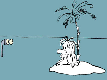 Остров Остров