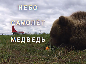 Небо. Самолет. Медведь Небо. Самолет. Медведь