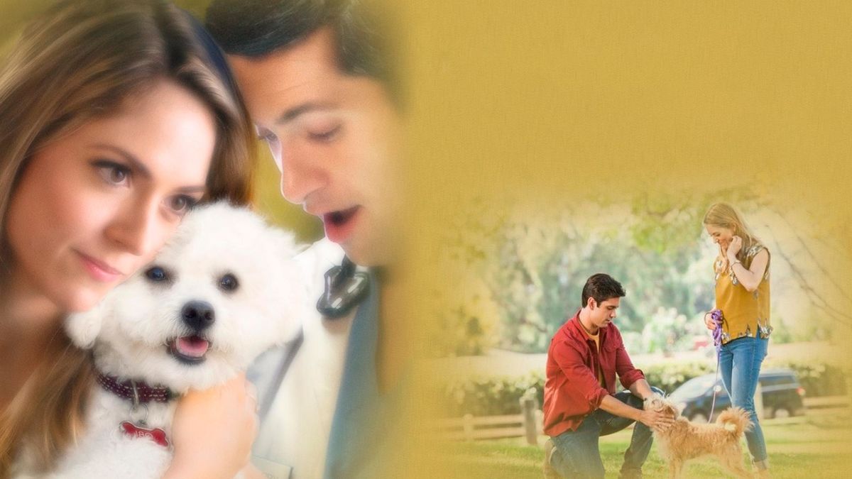 Добрый сосед