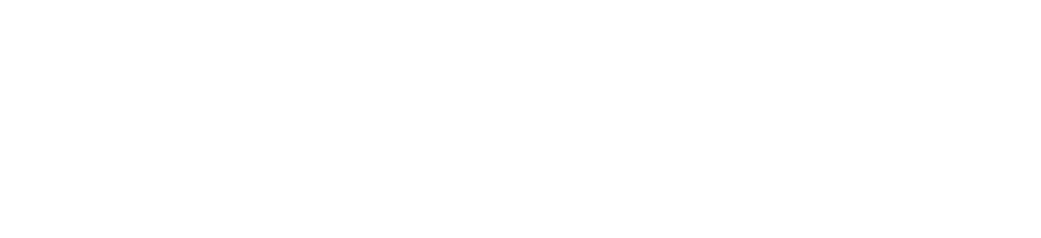 Путешественница во времени Путешественница во времени