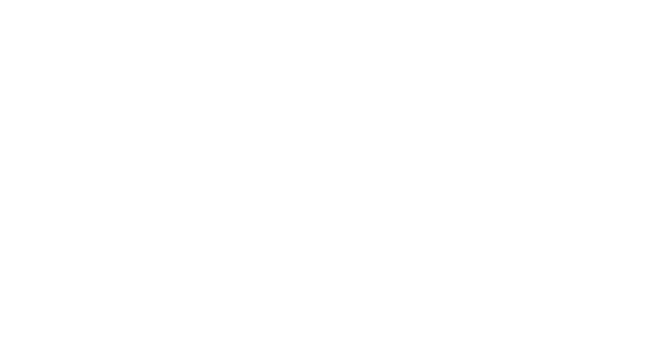 Короли лета Короли лета